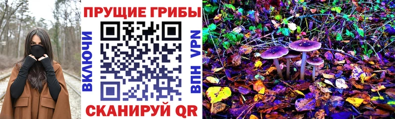 Галлюциногенные грибы MAGIC MUSHROOMS  omg как зайти  Чулым  как найти  