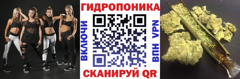 Марихуана Bruce Banner  Чулым 